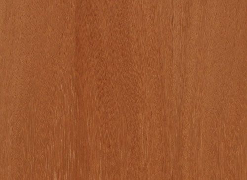 jmartinsdias-Afizelia