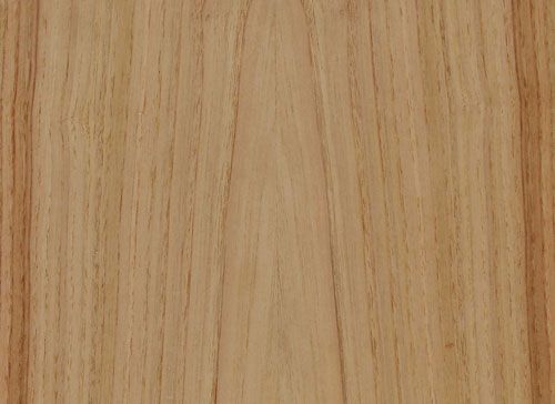 jmartinsdias-Castanho