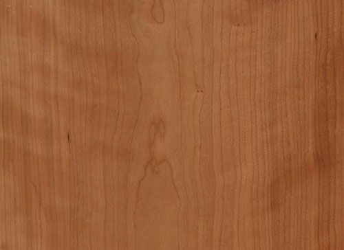 jmartinsdias-Cerejeira