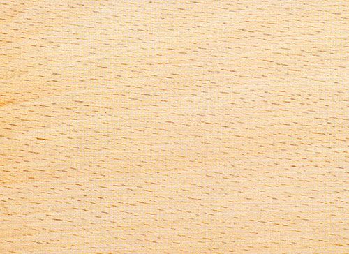 jmartinsdias-Faia Americana H400