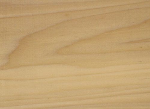 jmartinsdias-Madeira de Tulipeira